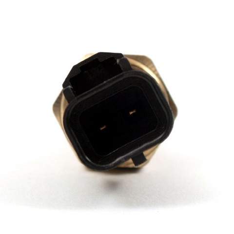 Delphi Engine Coolant Temperature Sensor P/N:TS10198