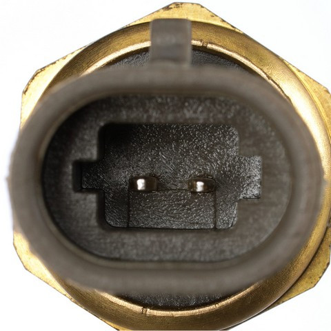 Delphi Air Charge Temperature Sensor TS10534 - view 3