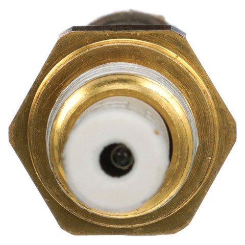 Delphi Air Charge Temperature Sensor TS10534 - view 4