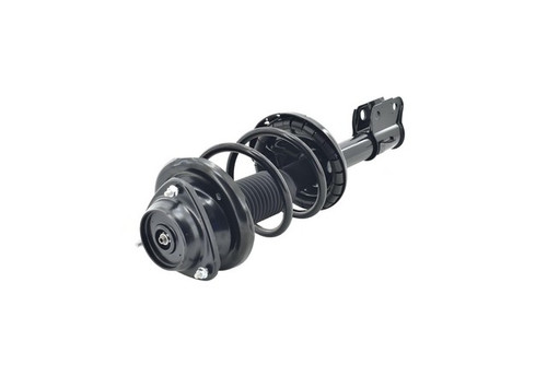 Focus Auto Parts Suspension Strut and Coil Spring Assembly P/N:2333816L