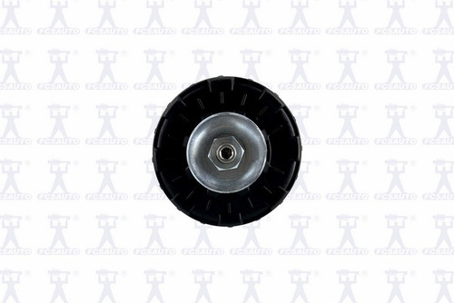 Focus Auto Parts Suspension Strut and Coil Spring Assembly P/N:3333514R