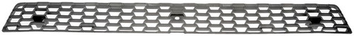 Dorman - HD Solutions Grille P/N:242-6045