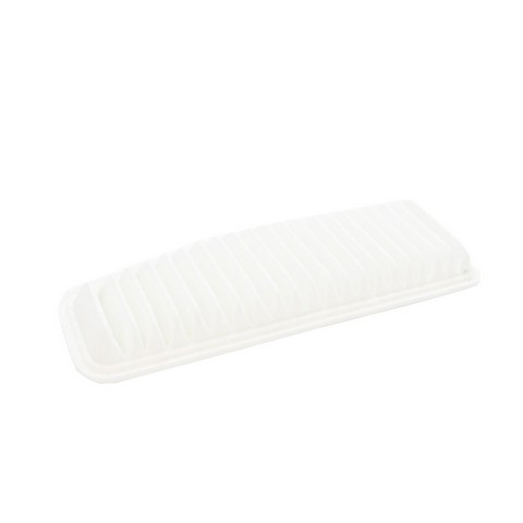 ECOGARD Engine Air Filter P/N:XA5398