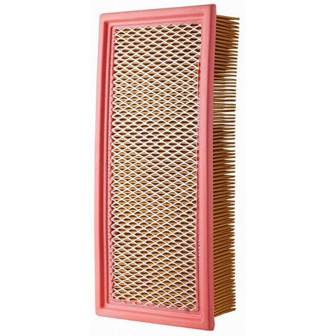 Air Filter PGI EXTENDED LIFE PA5569