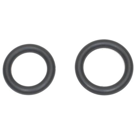 Standard Ignition Fuel Injection Fuel Rail O-Ring Kit P/N:SK83