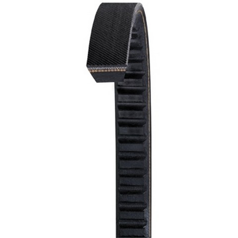Dayco Accessory Drive Belt CX96