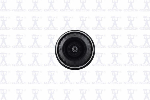 Focus Auto Parts Suspension Strut and Coil Spring Assembly 1333440R - view 3