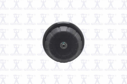 Suspension Strut and Coil Spring Assembly