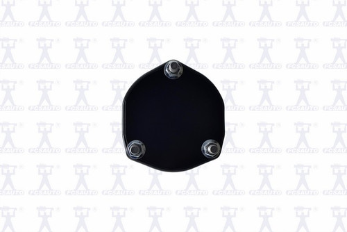Suspension Strut and Coil Spring Assembly