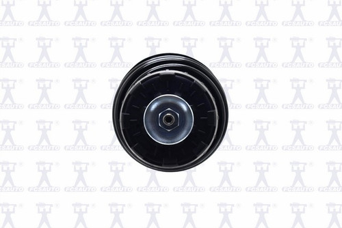 Focus Auto Parts Suspension Strut and Coil Spring Assembly P/N:2333714R