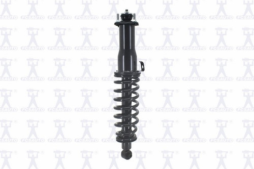 Suspension Strut and Coil Spring Assembly