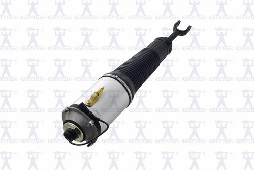 Focus Auto Parts Air Suspension Strut 92036 - view 4