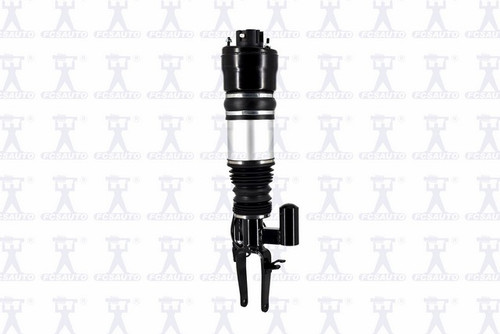 Focus Auto Parts Air Suspension Strut 99053 - view 4