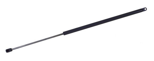 Hatch Lift Support fits 1981-1985 Mazda GLC  TUFF SUPPORT