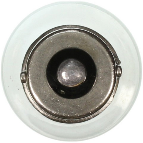 Back Up Light Bulb-Turn Signal Light Bulb Wagner Lighting 199