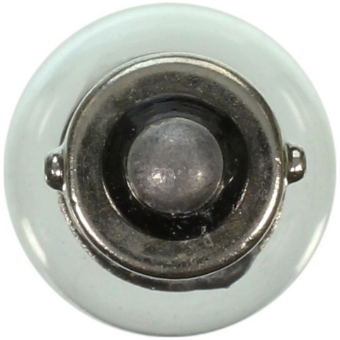 Wagner Lighting Courtesy Light Bulb,Dome Light Bulb,Instrument Panel Light Bulb,Map Light Bulb P/N:293