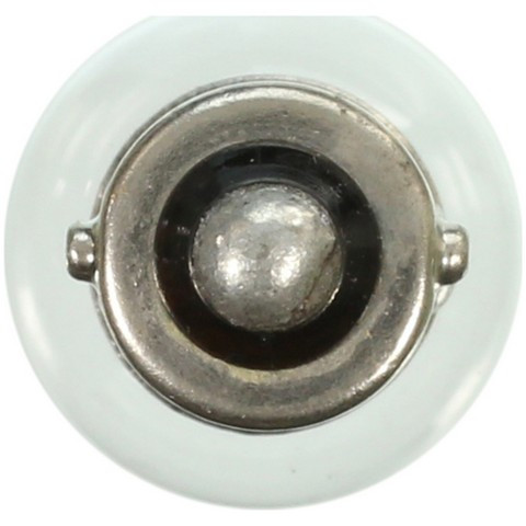 Wagner Lighting Radio Display Light Bulb,Tail Light Bulb P/N:55