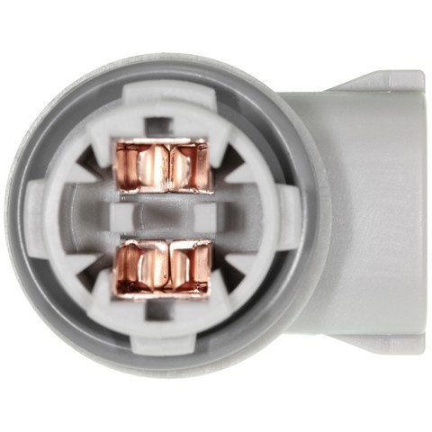 License Lamp Socket fits 2000-2005 Toyota Echo  WVE BY NTK