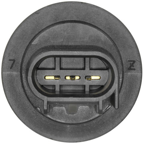 Turn Signal Light Socket-Combination Light Socket WVE 1P2397