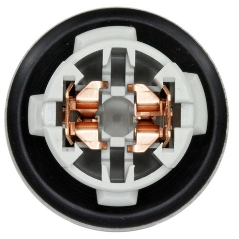 Parking Light Bulb Socket fits 1997-2005 Toyota RAV4 Echo  WVE BY NTK