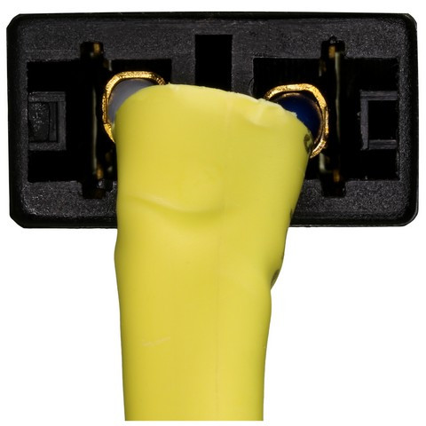 Headlamp Socket