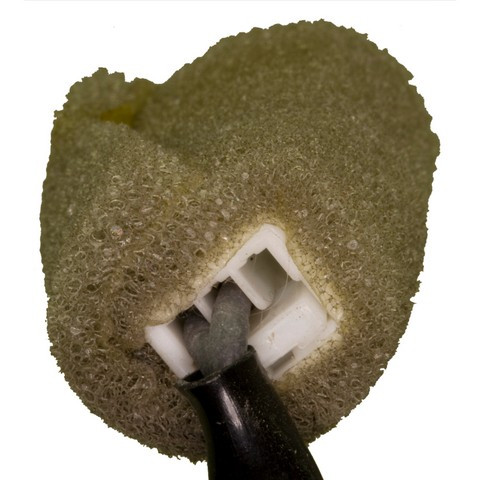 Combination Switch fits 2000-2006 Nissan Sentra Frontier,Xterra  WVE BY NTK