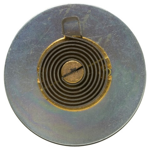 Carburetor Choke Thermostat fits 1980-1981 Pontiac Firebird  WVE BY NTK