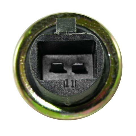 Vapor Canister Purge Solenoid WVE 2N1038