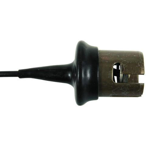 Parking Light Bulb Socket fits 1958-1965 American Motors American Ambassador Cla