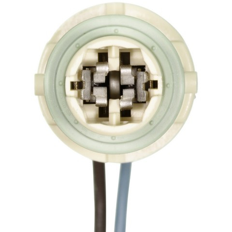 Side Marker Light Socket fits 1988-1995 Pontiac Grand Prix Sunbird  WVE BY NTK