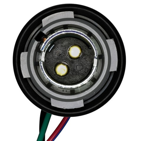 Tail Lamp Socket / Connector Plate