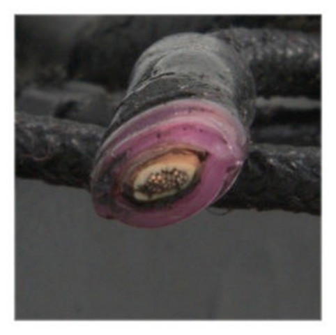 Four Seasons A/C Compressor 67383 - view 6