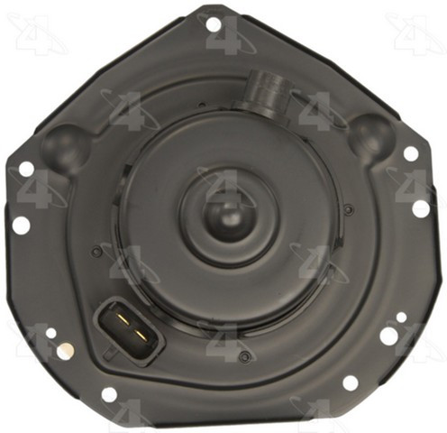 Blower Motor