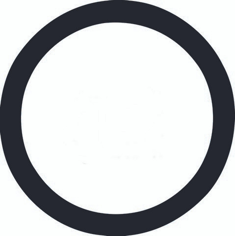 Gates Engine Coolant Thermostat Seal P/N:33619