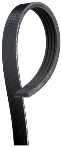 Gates Serpentine Belt K040268