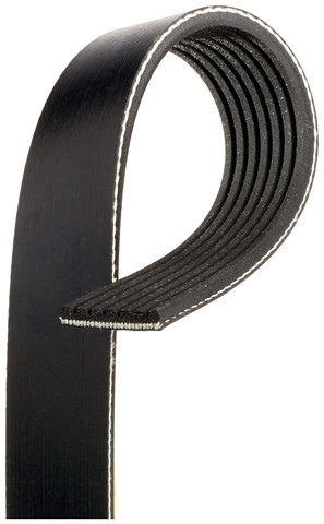 Gates Serpentine Belt K070810A