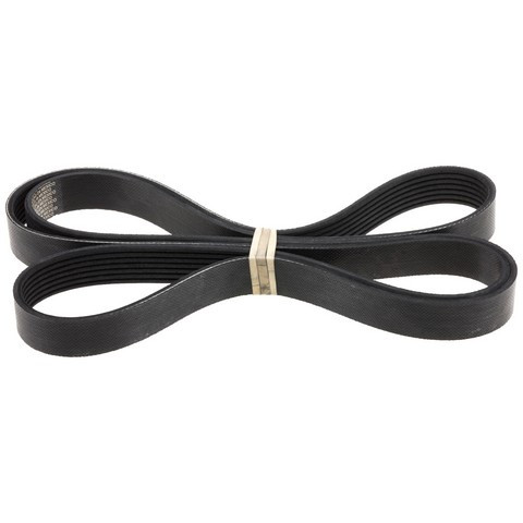 INA US Serpentine Belt FB7K750