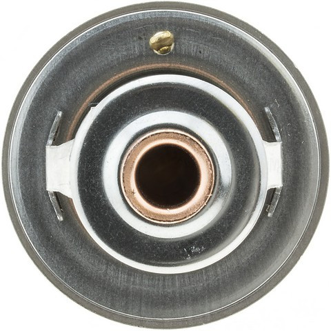 Engine Coolant Thermostat-Standard Coolant Thermostat Motorad 319-170