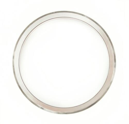 Wheel Race fits 2005-2008 Isuzu HTR,HVR  SKF (CHICAGO RAWHIDE)