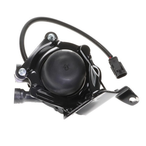 Standard Ignition Secondary Air Injection Pump P/N:AIP53