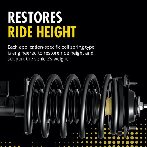Monroe Shocks & Struts Suspension Strut and Coil Spring Assembly 172799