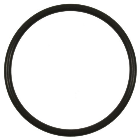 Standard Ignition Fuel Pump O-Ring GDR401