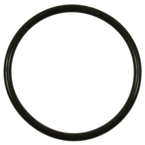 Standard Ignition Fuel Pump O-Ring GDR501