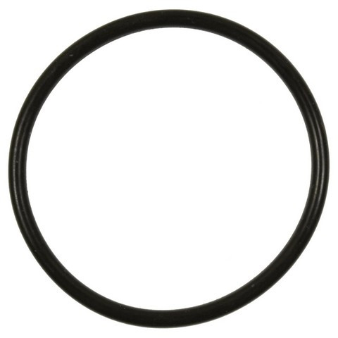 Standard Ignition Fuel Pump O-Ring GDR507