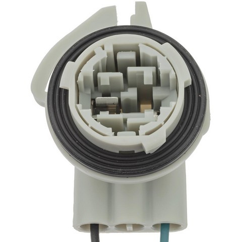 Standard Ignition Tail Light Wiring Harness S2631 - view 2