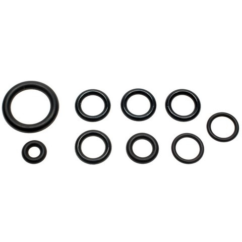 Standard Ignition Fuel Injection Fuel Rail O-Ring Kit P/N:SK24