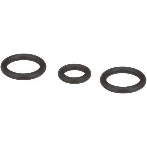 Standard Ignition Fuel Injection Fuel Rail O-Ring Kit P/N:SK80