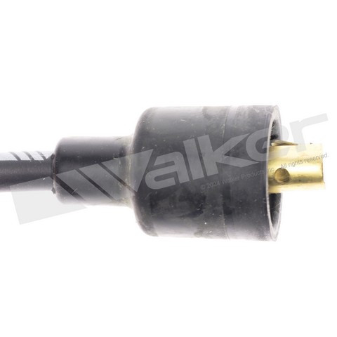 Walker Products Spark Plug Wire Set P/N:924-1553