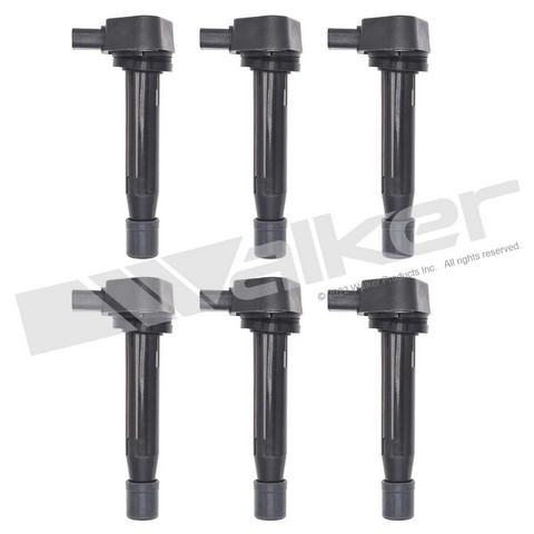 Walker Products Ignition Coil Set 928-4064-6