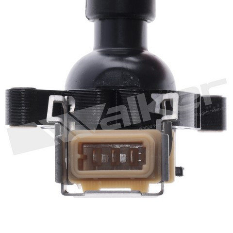 Walker Products Ignition Coil Set P/N:928-4082-6